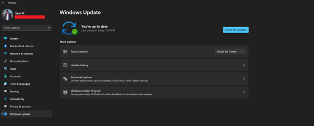 Windows Update