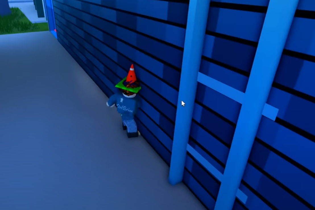 Performing The Robbery