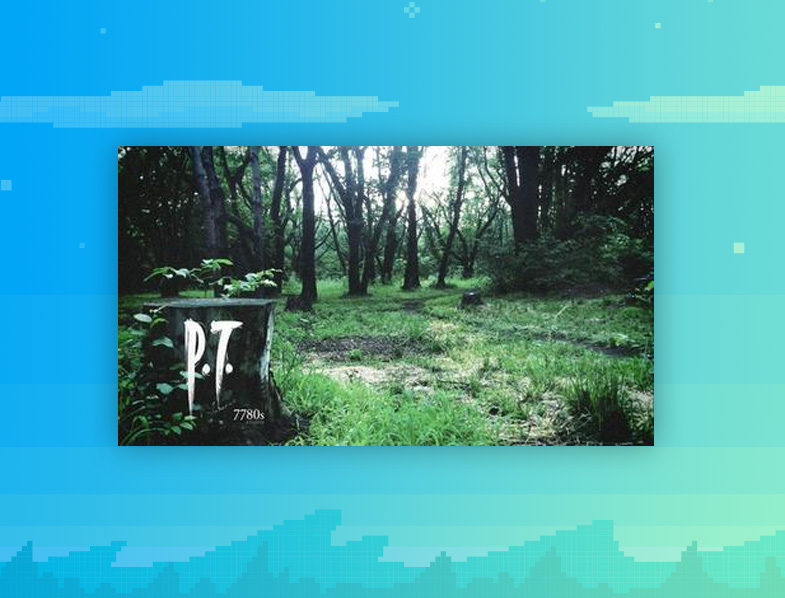 P.T.
