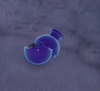 Ocean